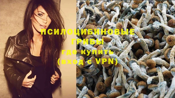 ешки Белоозёрский